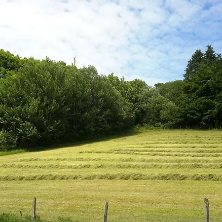 Apartament Niedersfeld Polzweg Winterberg Zewnętrze zdjęcie