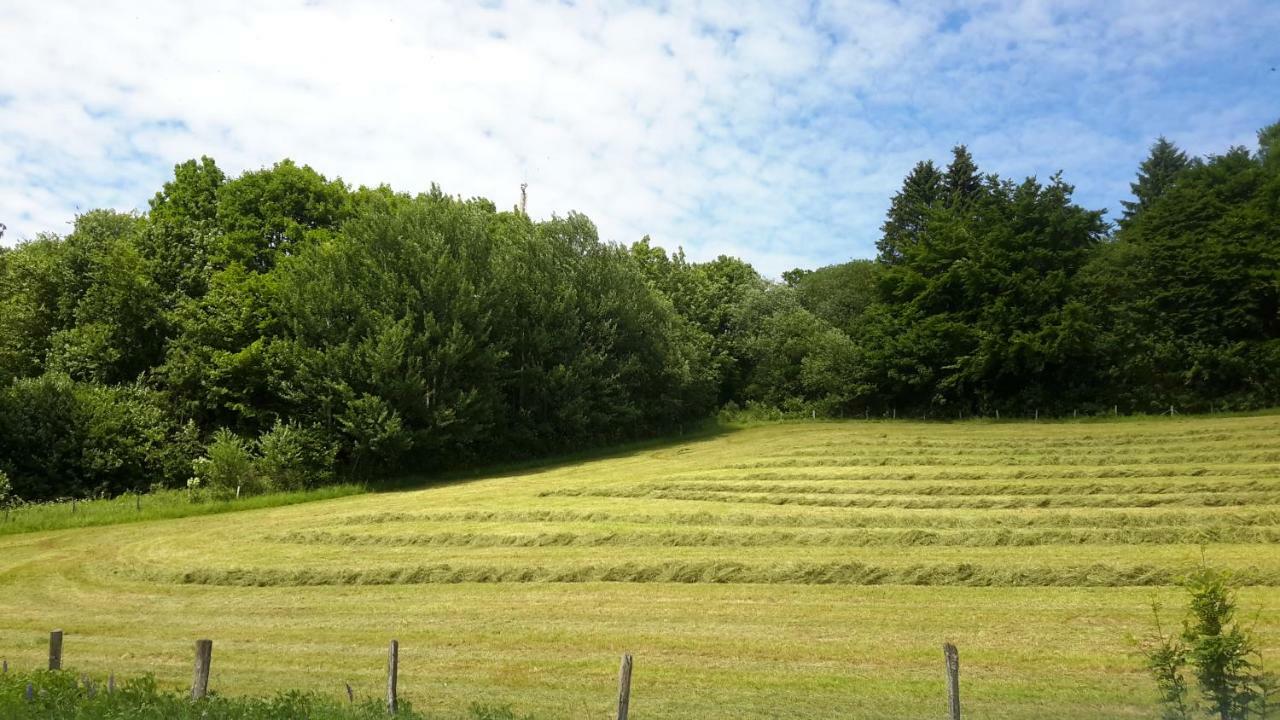 Niedersfeld Polzweg Apartament *